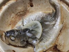 -食悦江南·淮扬菜·烤鸭(亚运村·惠新店)