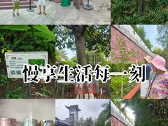 -广州神农草堂中医药博物馆