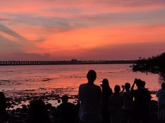 -宝安西湾红树林湿地公园