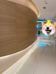 -素美医疗美容·西南眼鼻整形·修复基地
