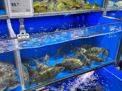 -盒马鲜生(双清路店)