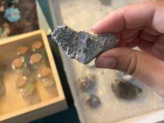 -房山世界地质公园博物馆