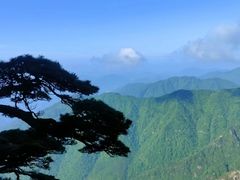 -黄山风景区
