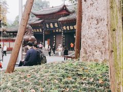 -峨眉山报国寺