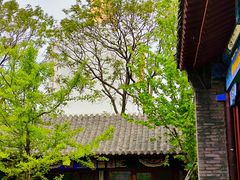 -护国法轮寺