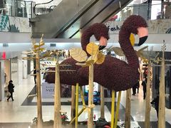 -凯德广场(学府店)