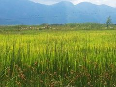 -泸沽湖国家级风景名胜区走婚桥