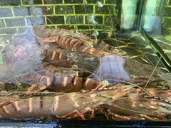 -东江港海鲜城(广雅花园别墅区店)