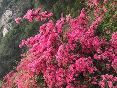 -木兰云雾山