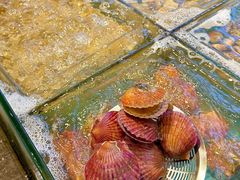 -金马门国际美食百汇(珞喻路店)