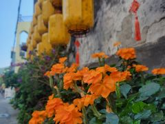 -三溪村