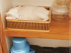-正南齐北·老街糯米团(洪崖洞店)