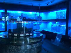 水产区-金悦轩海鲜城(渔人码头店)