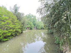 -南汇桃花村