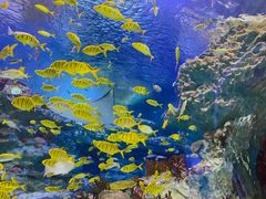 -海合安成都极地海洋公园
