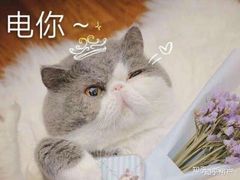 -谭仔三哥米线(屯门时代广场北翼店)