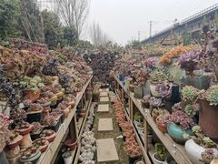 -三圣花乡旅游区