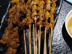 大漠红柳枝羊肉串-羊肉街口老银川滩羊涮肉馆