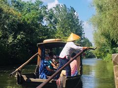 -溱湖国家湿地公园