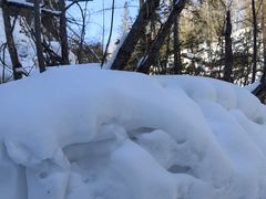 -峡谷浮石林景区