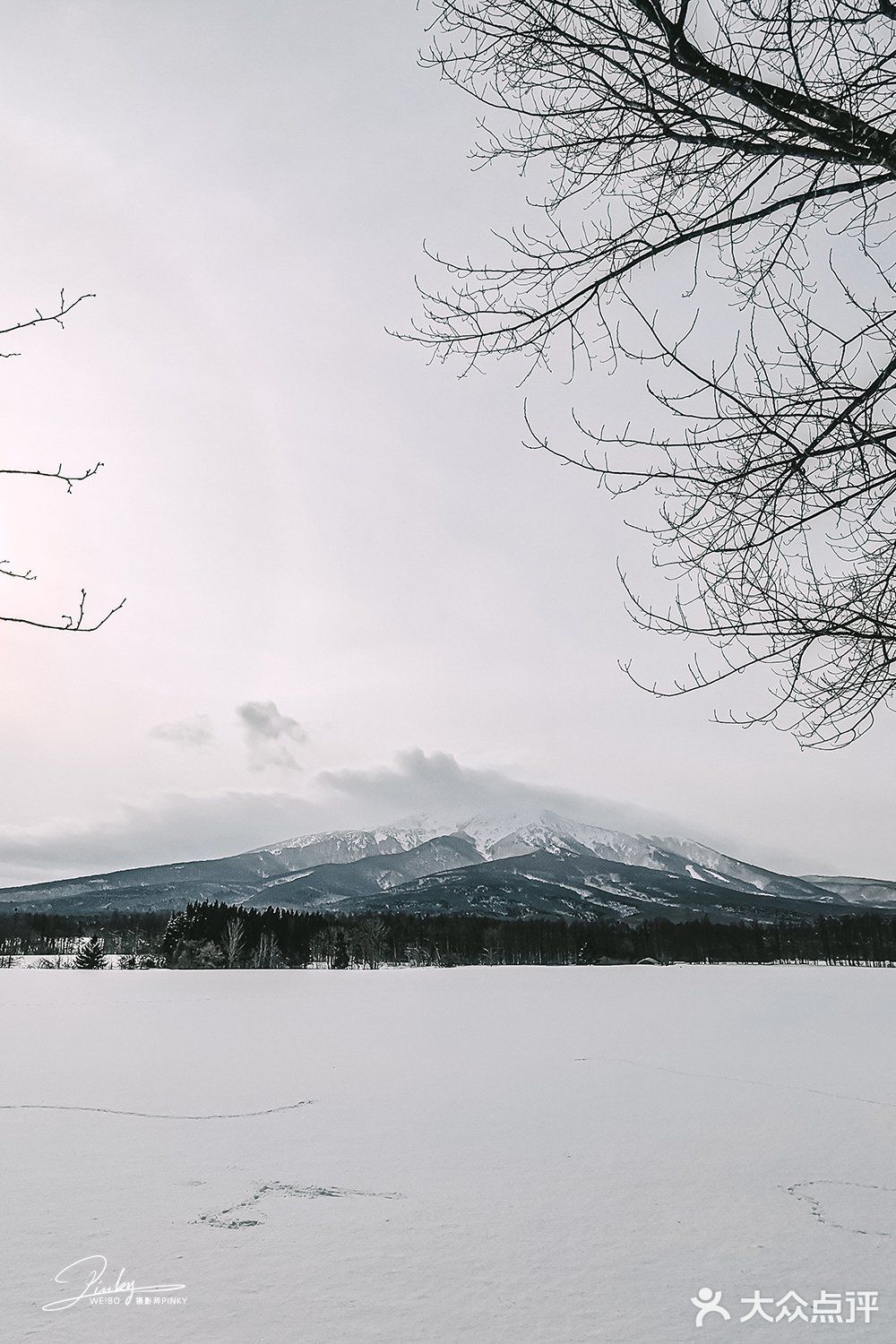 日本青森 | 比北海道更近的青森春天滑雪场
