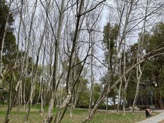 -东湖落雁景区