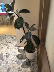 点击看大图 -北京漾格医疗美容医院