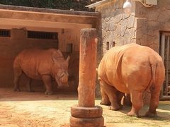 -昆明动物园