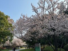 -玉山公园
