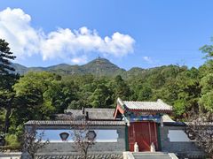 -阳台山自然风景区
