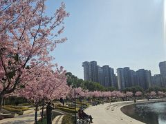 -新江湾城公园