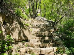 -大岭沟猕猴桃谷风景区