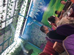 -马白开来特色羊排揪片子  (总店)