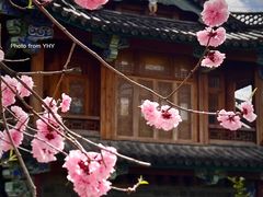 -黑龙潭公园