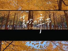 -天元公园