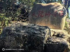 -紫金山山顶公园