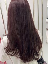 -镁连社·美联社