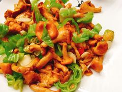 鸡纵炒青椒-蔼若春.传承三十年云南菜(金碧公园店)