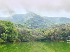 -杭州半山国家森林公园