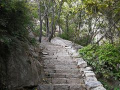 -大岭沟猕猴桃谷风景区