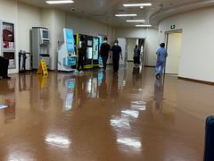 -上海市东方医院(总院)