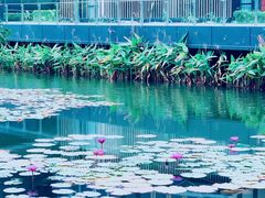 -星巴克(深圳前海企业公馆店)