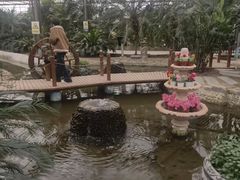 -南和农业嘉年华