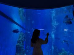 -成都浩海立方海洋公园
