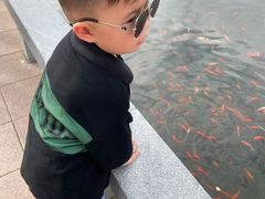 -好宜家眼视光·蔡司店(临汾店)