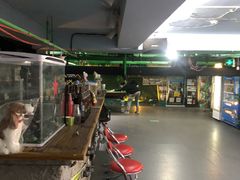 -319集结地真人CS·团建·轰趴体验馆·室内(超极合生汇店)