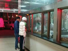 -震九州熟食(凯旋路店)