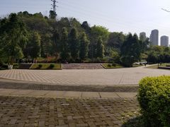 -重庆彩云湖湿地公园