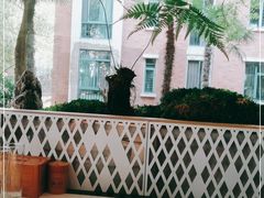 -虹泥小厨(南国花园总店)