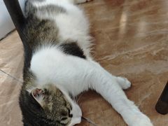 -聪辉同安老美食饭店(大元路店)